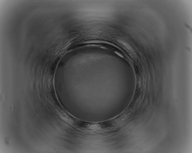 X0000091710409200708311120