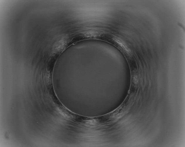 X0000091710411200708311120