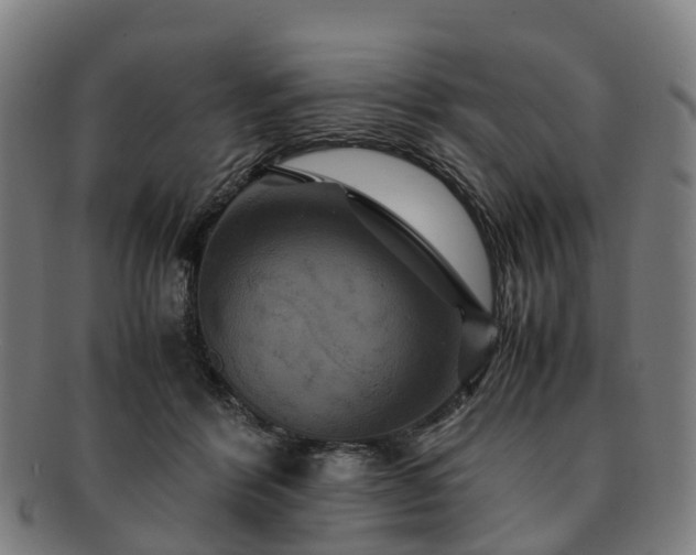 X0000091710412200708311120