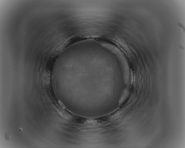 X0000091710413200708311120