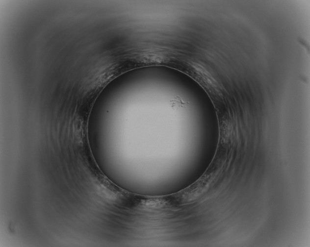 X0000091710414200708311120