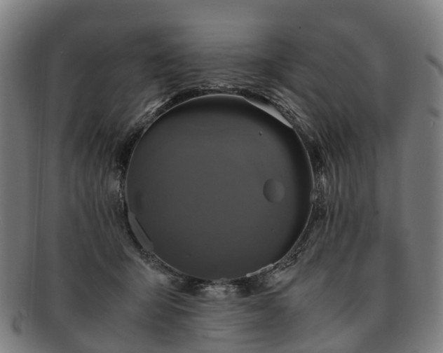 X0000091710415200708311120