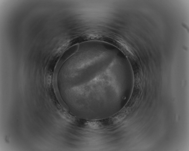 X0000091710417200708311120