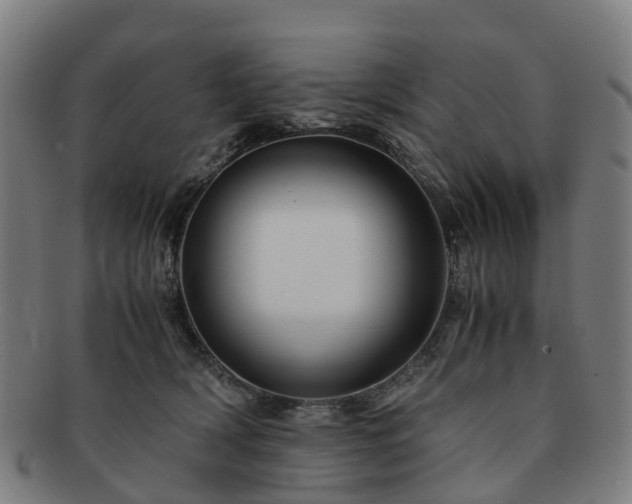 X0000091710418200708311120