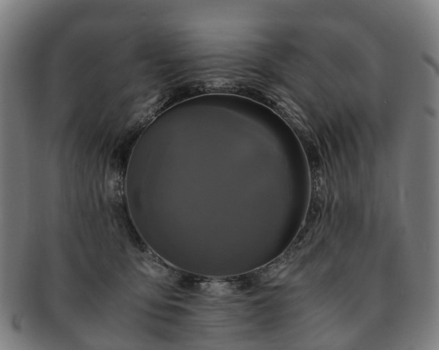 X0000091710419200708311120