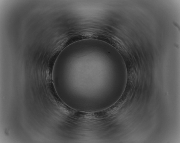 X0000091710420200708311120