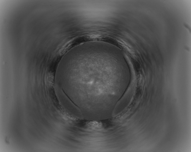 X0000091710421200708311120