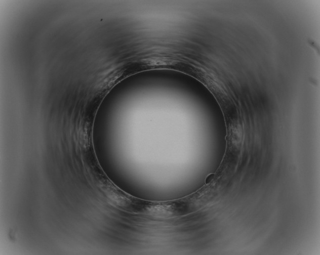 X0000091710422200708311120