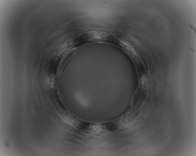 X0000091710423200708311120