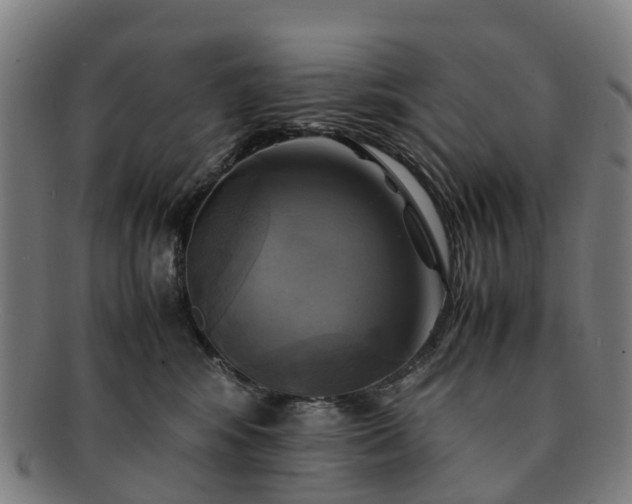 X0000091710424200708311120