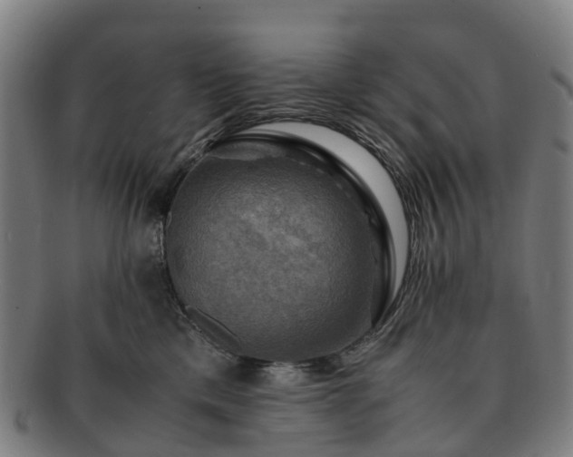 X0000091710425200708311120