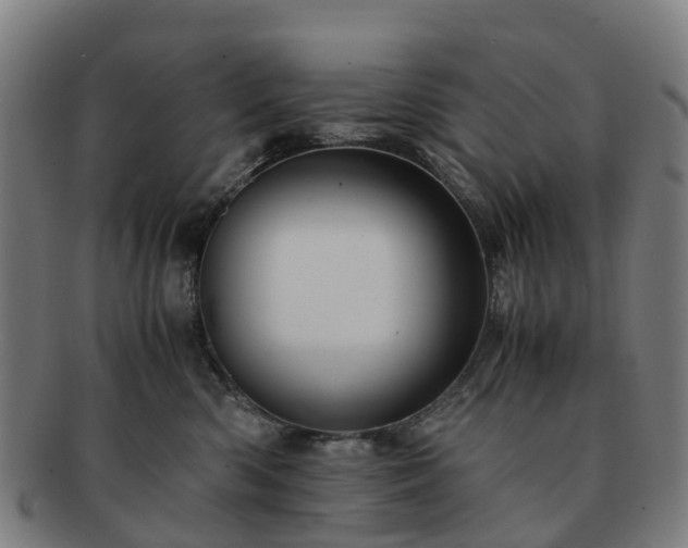 X0000091710426200708311120