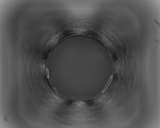 X0000091710427200708311120