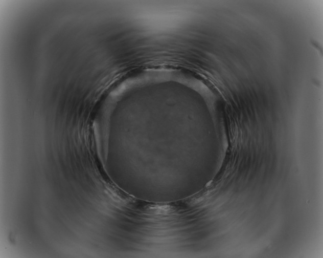 X0000091710428200708311120