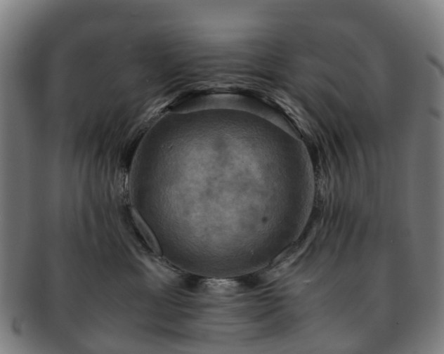 X0000091710429200708311120