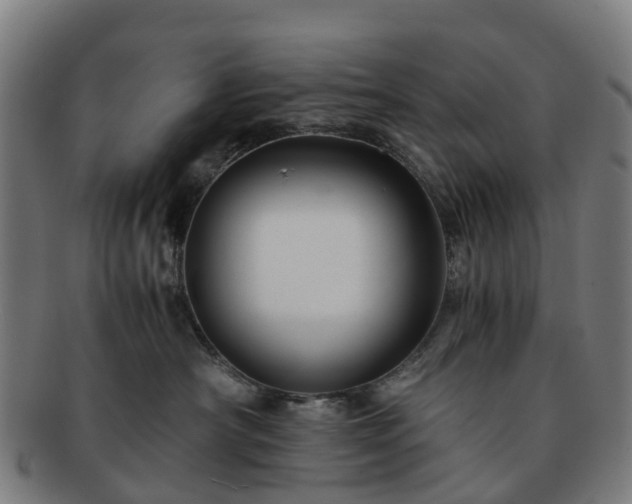 X0000091710430200708311120