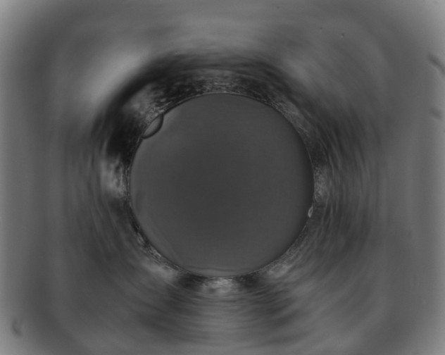 X0000091710431200708311120