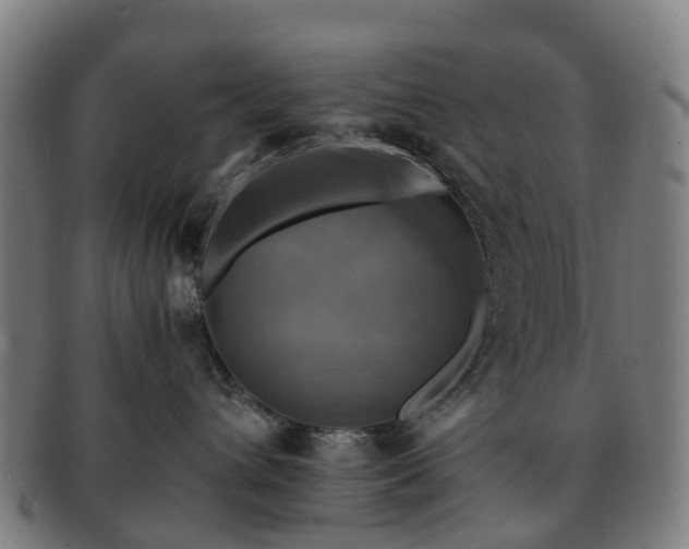 X0000091710432200708311120