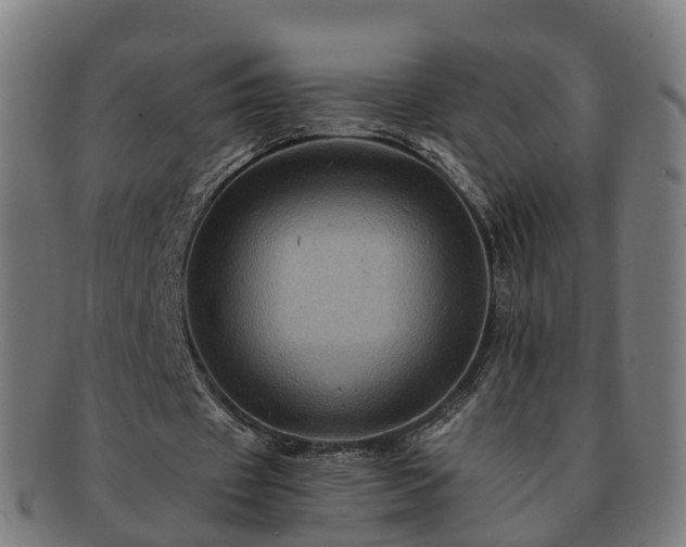 X0000091710433200708311119