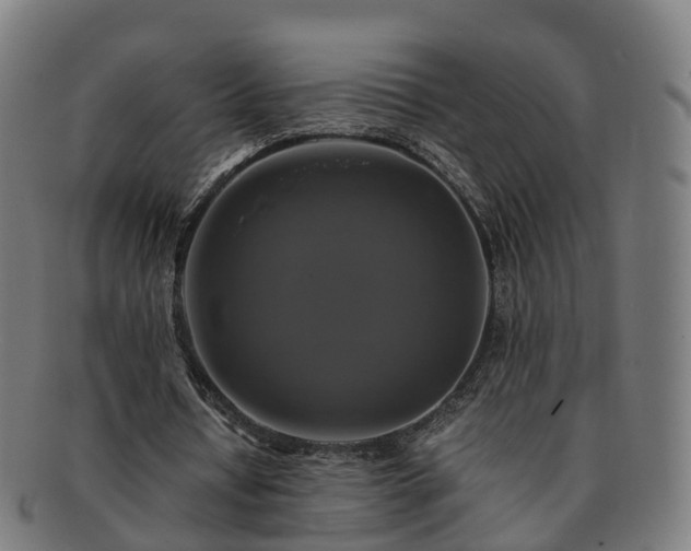 X0000091710434200708311119