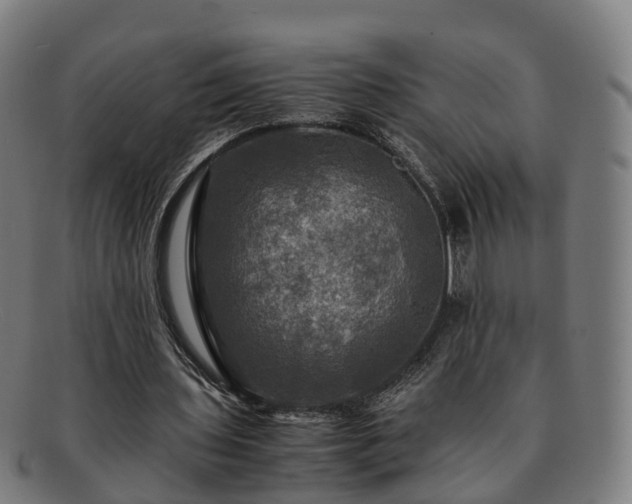 X0000091710435200708311119