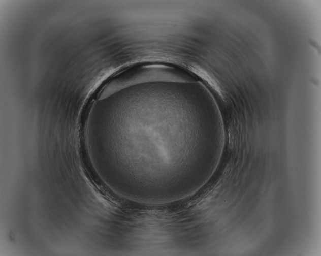 X0000091710436200708311119