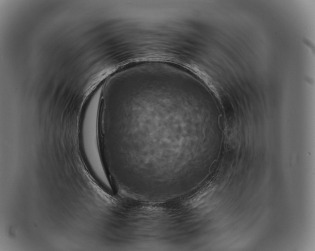 X0000091710437200708311119