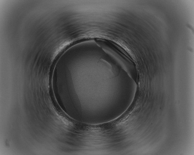 X0000091710438200708311119