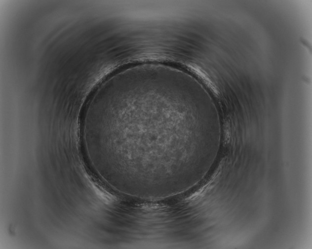 X0000091710439200708311119