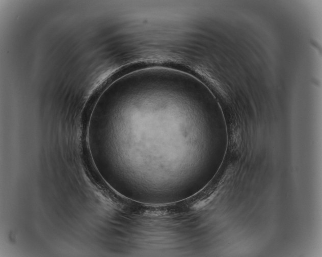 X0000091710440200708311119