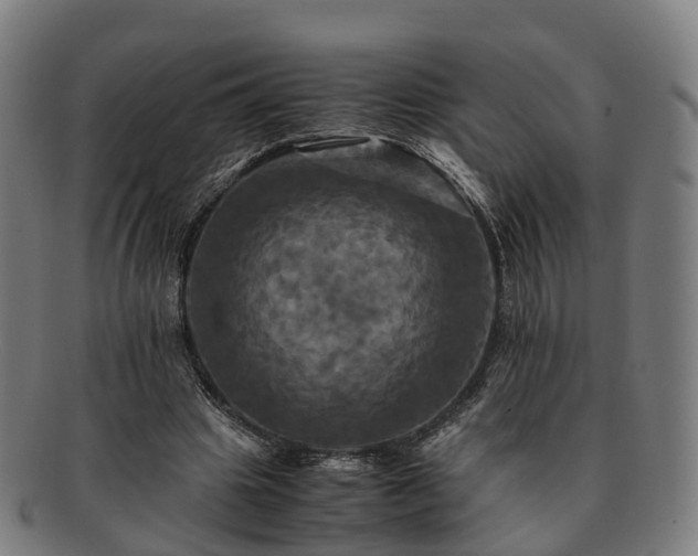 X0000091710441200708311119