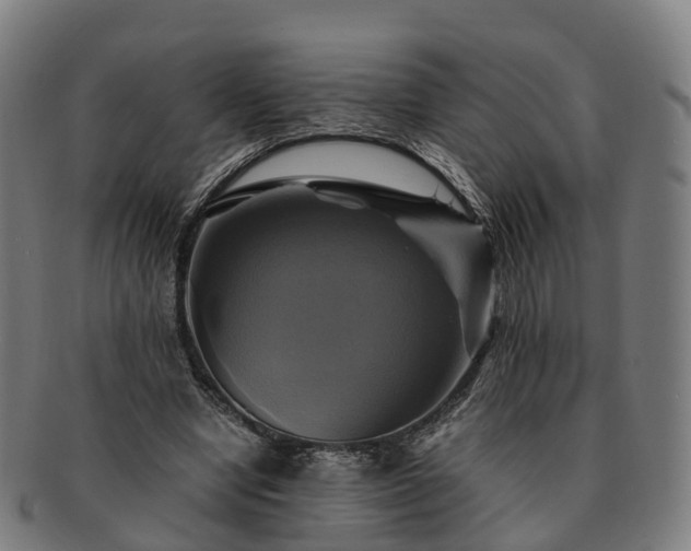 X0000091710442200708311119