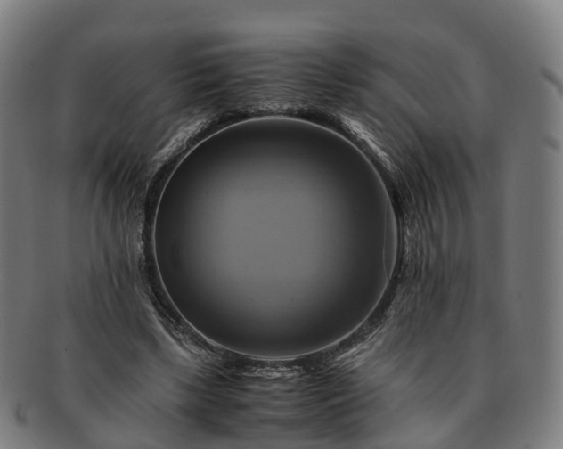 X0000091710443200708311119