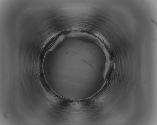 X0000091710444200708311119