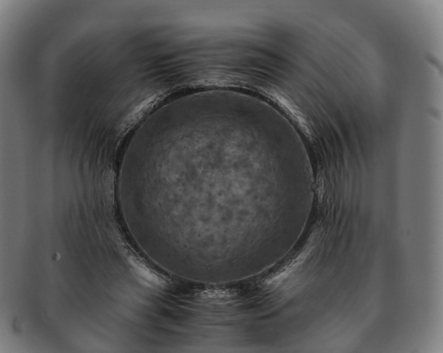 X0000091710445200708311119