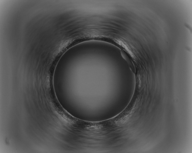 X0000091710447200708311119