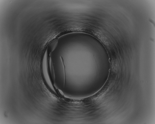 X0000091710449200708311119