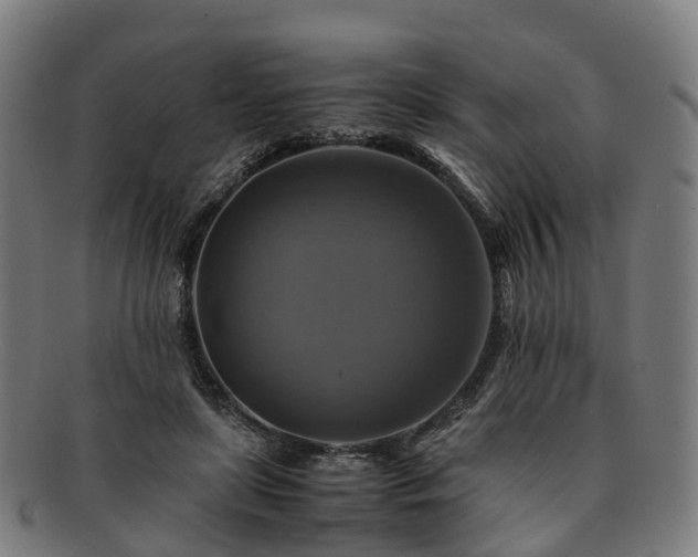 X0000091710451200708311119