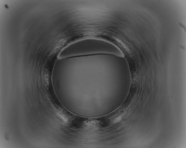 X0000091710452200708311119