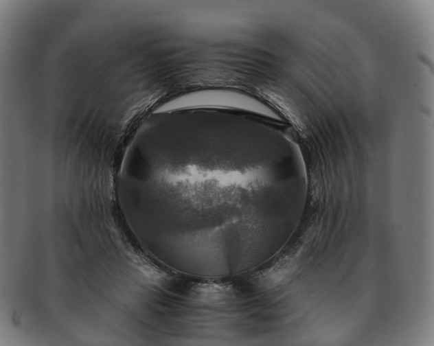 X0000091710453200708311119