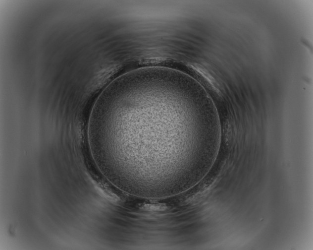 X0000091710455200708311119