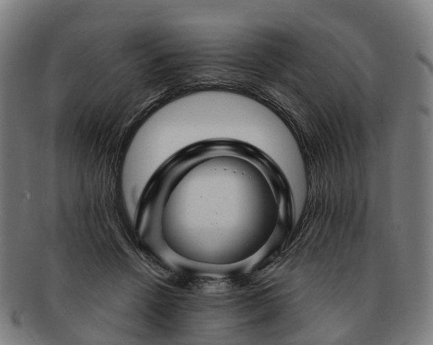 X0000091710456200708311119