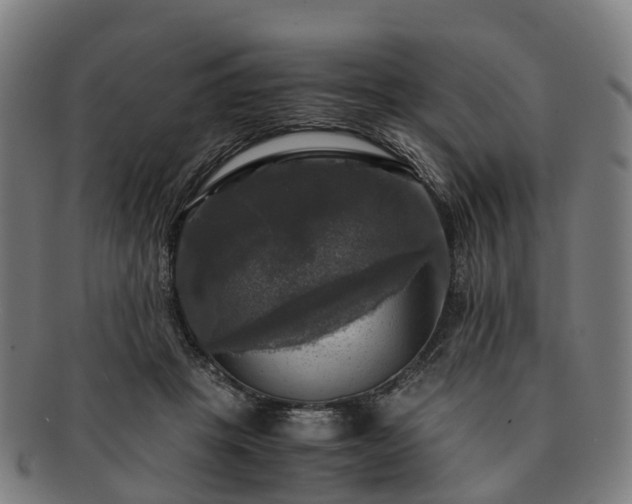 X0000091710457200708311119