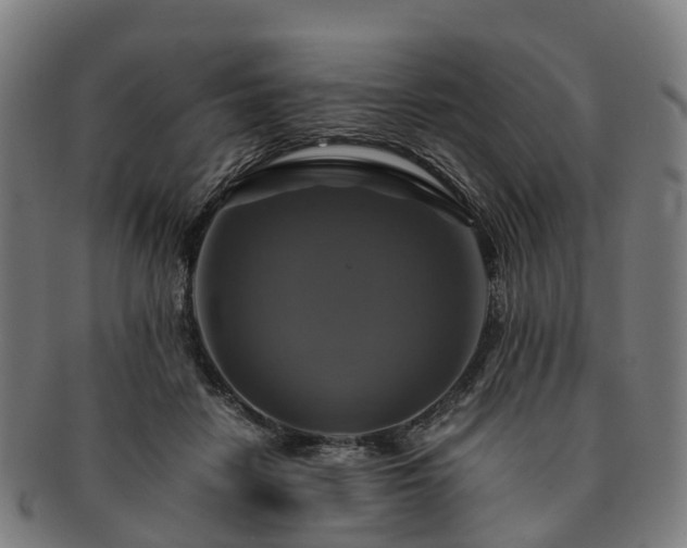 X0000091710458200708311119