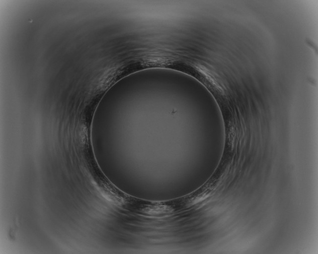 X0000091710459200708311119