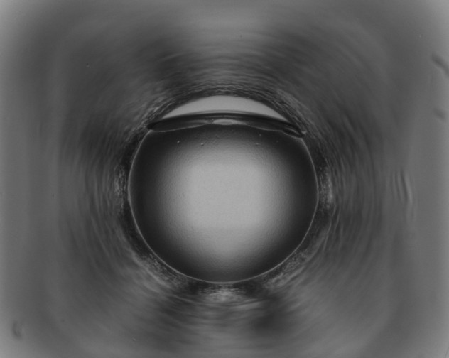 X0000091710460200708311119