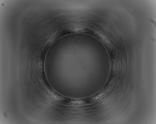 X0000091710461200708311119