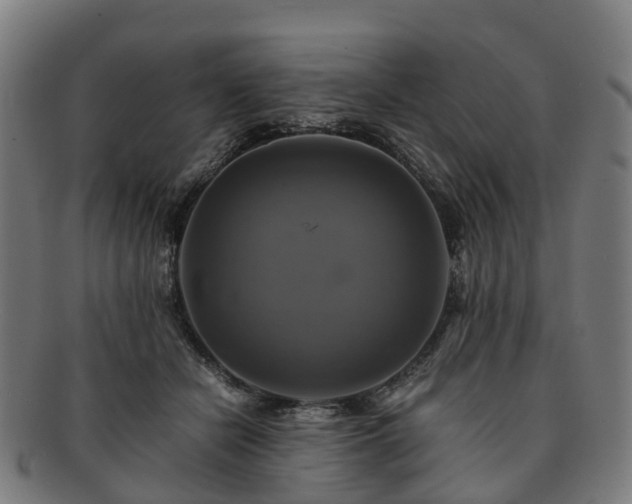 X0000091710462200708311119