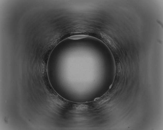 X0000091710463200708311119