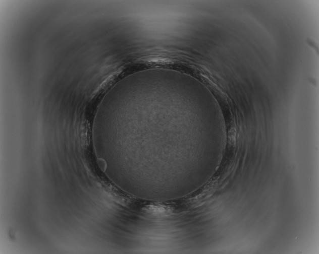 X0000091710464200708311120